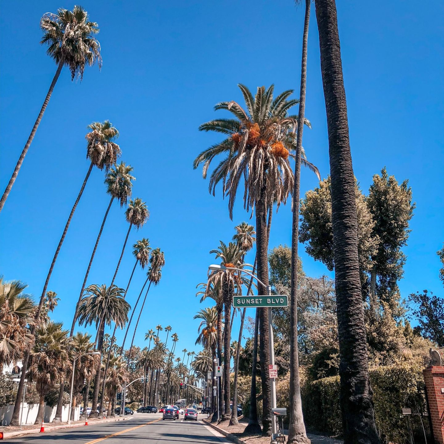 Places to See in Los Angeles