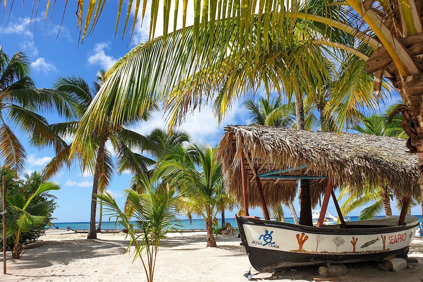 Saona Island Beach