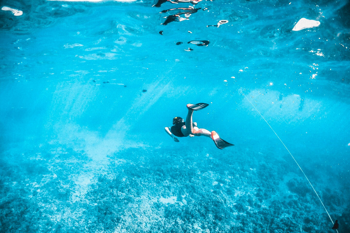 things to do in punta cana snorkeling