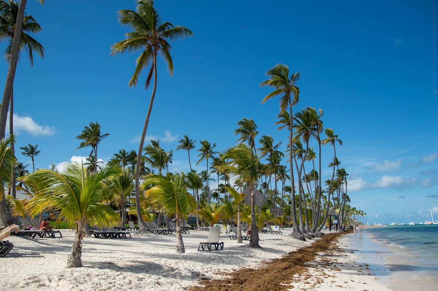 10 Best Things to Do in Punta Cana SCROLL THE GLOBE
