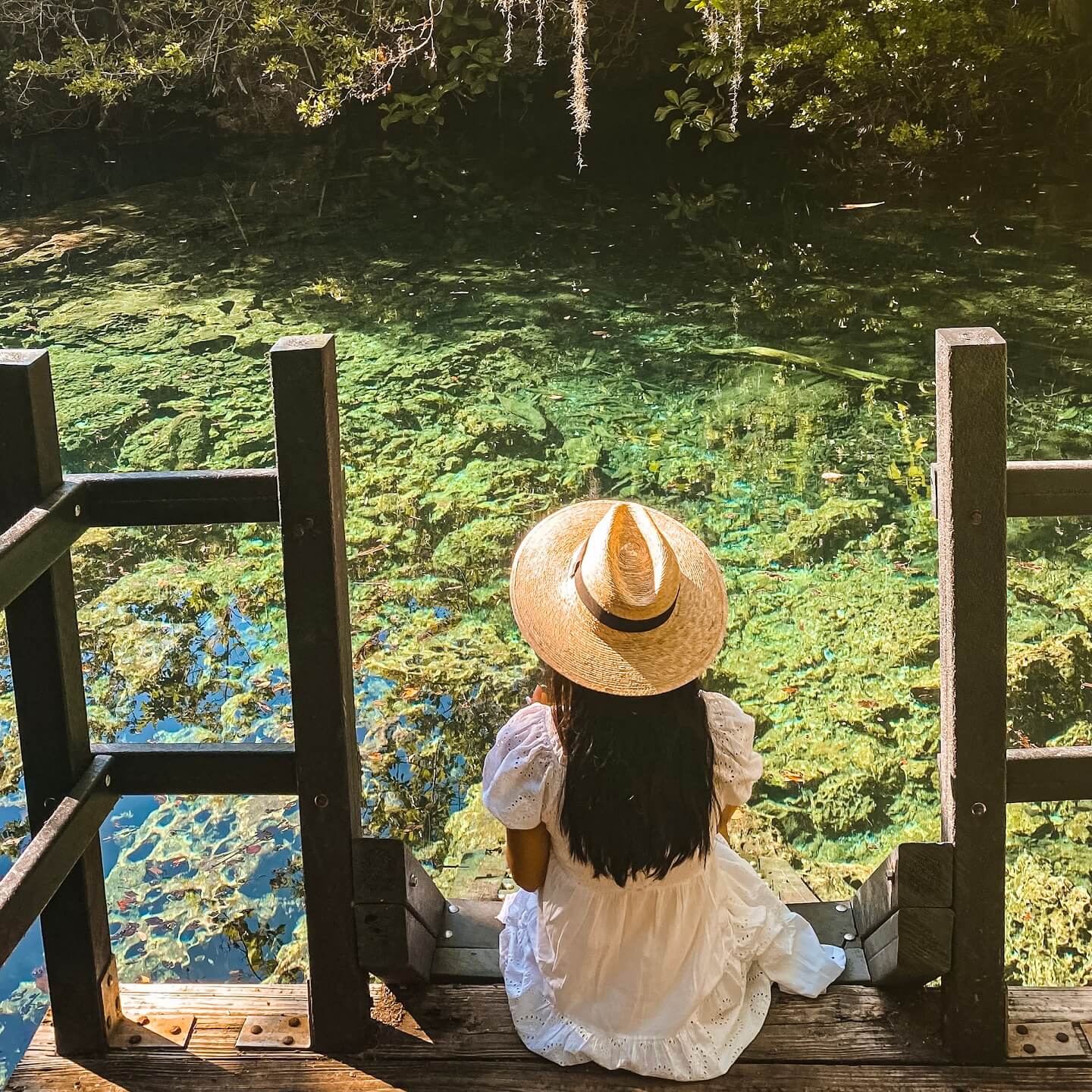 cenote punta cana