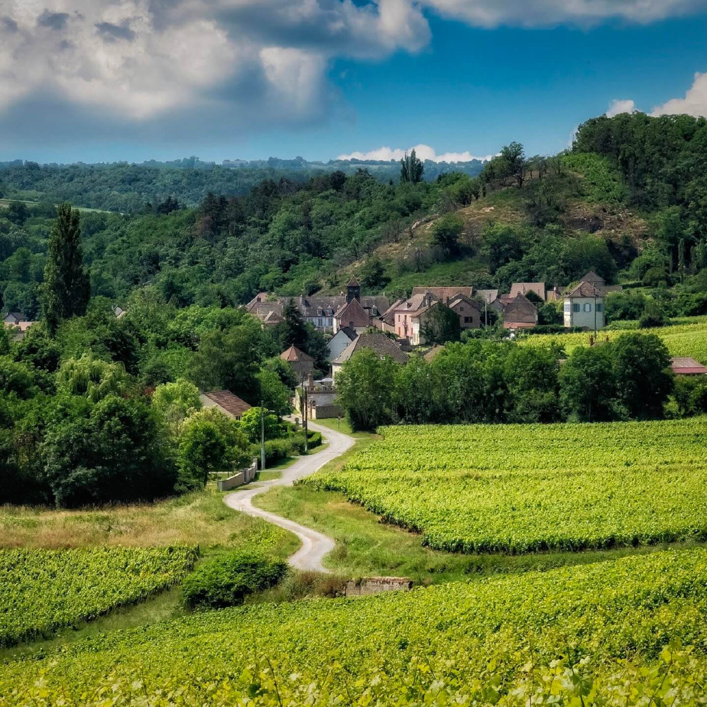Visit Burgundy France