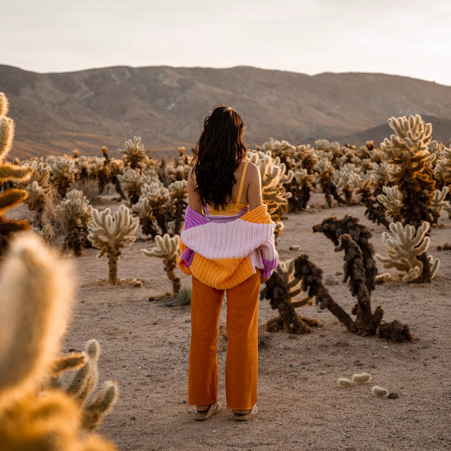 Stella in orange trousers standing between cactuses 