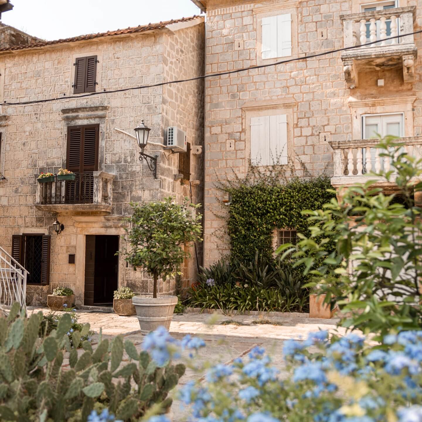 Old building with blue flowers in Perast Montenegro