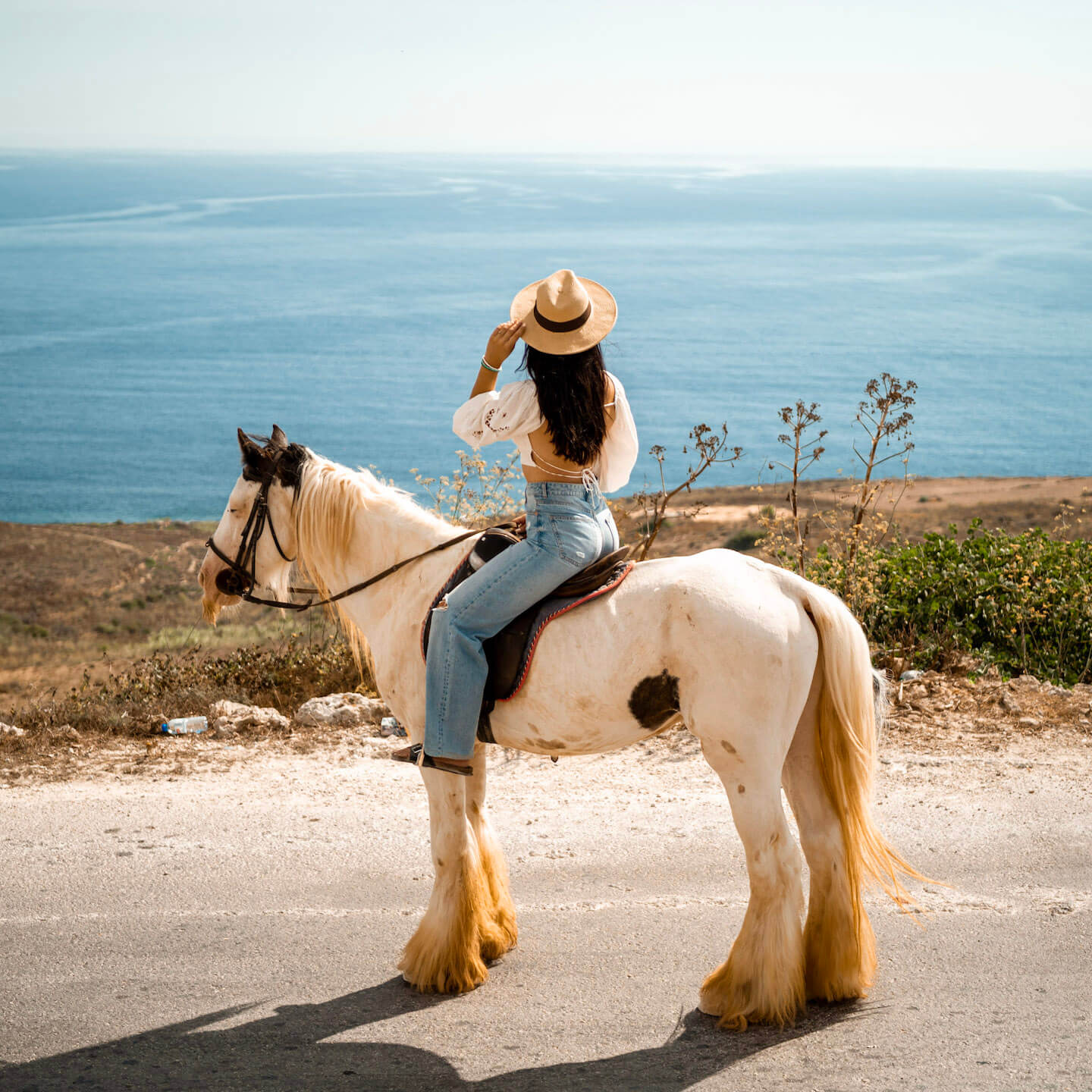 Horseback riding in Gozo, Malta