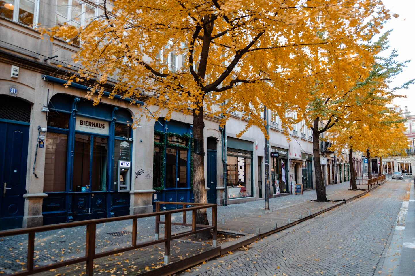 Porto during fall with yellow leave trees.