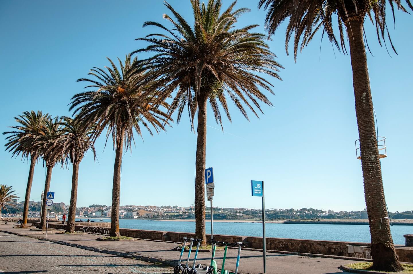 Porto beach with palms