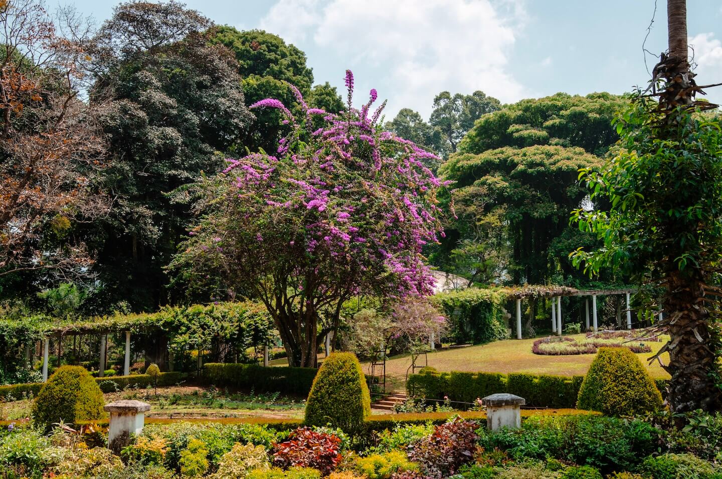 Botanical Garden in Sri Lanka