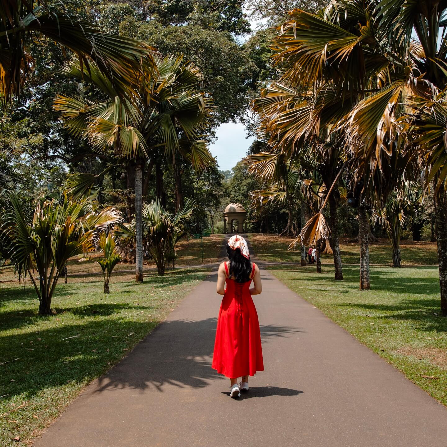 Girl in red dress surrounded by palms walking in the botanical garden in Kandy Sri Lanka.