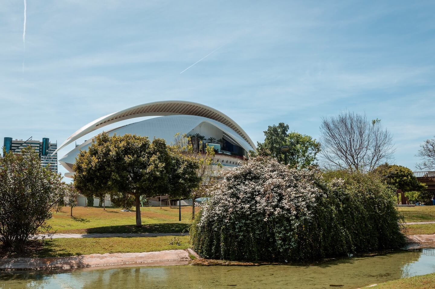 Park in Valencia, Spain.