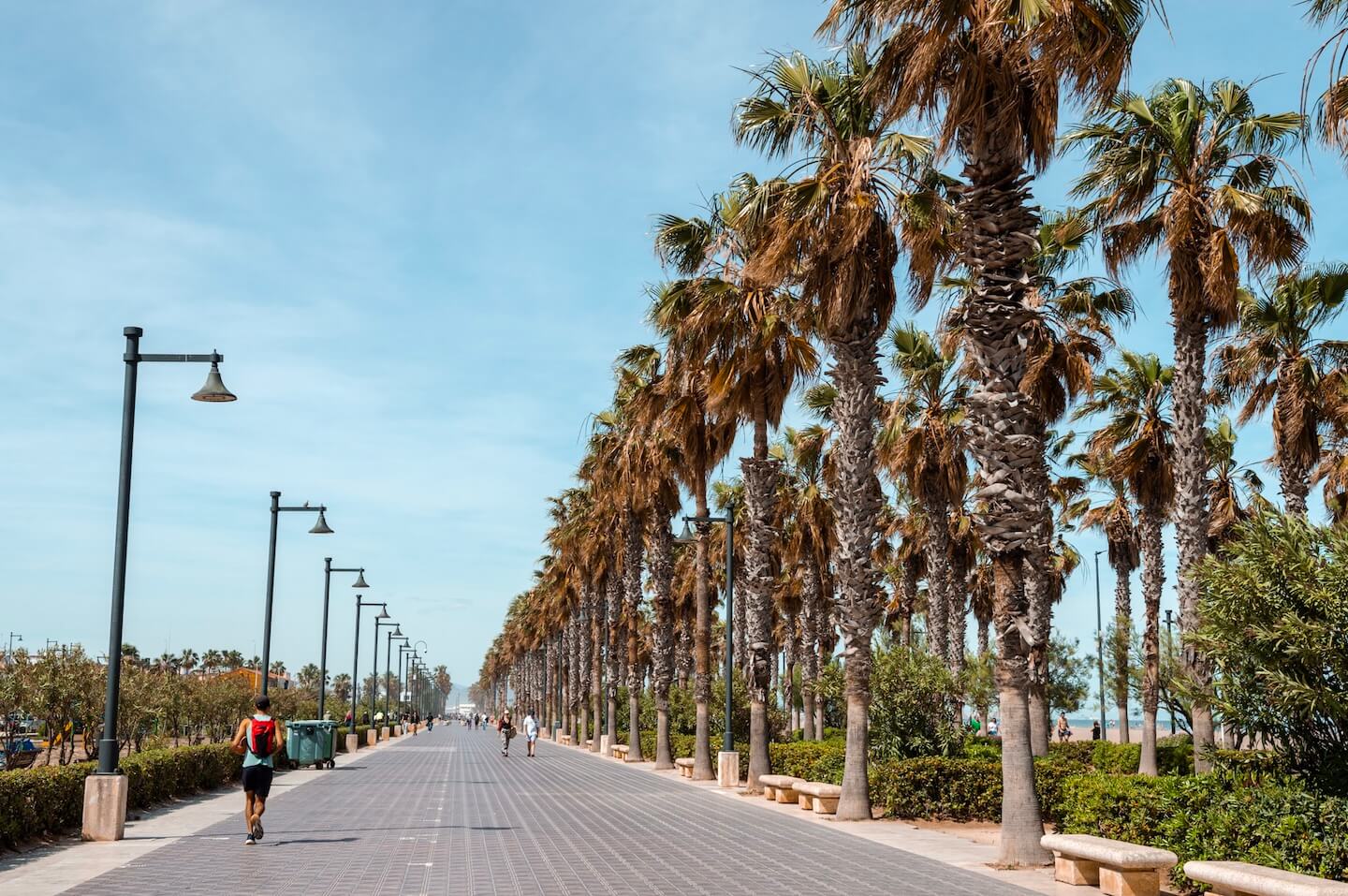 Valencia beach promenade with palms on the side.