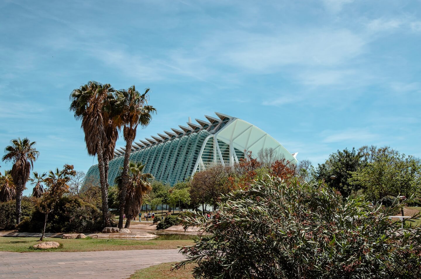 One day in Valencia Spain.