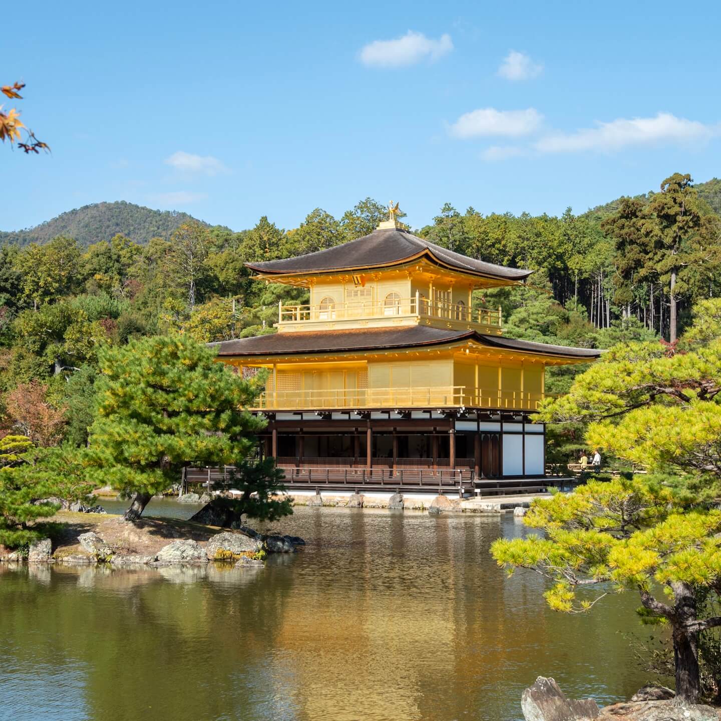 Golden Pavillion Kyoto