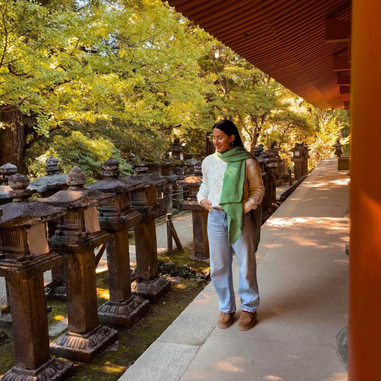 Nara Park Japan