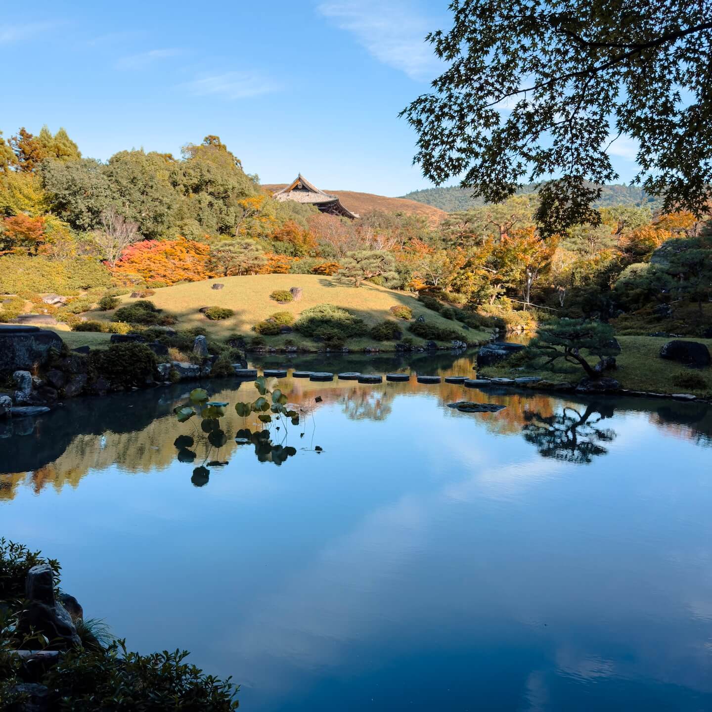 Nara Park Gardens Japan