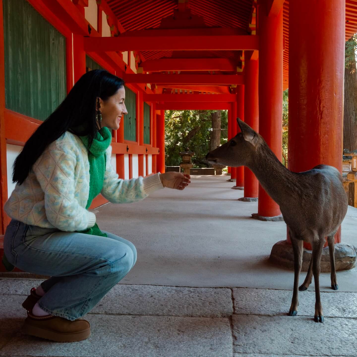 Nara Park Deer