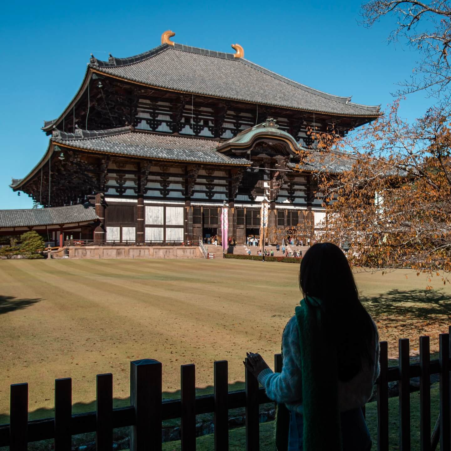 Nara Park Temple