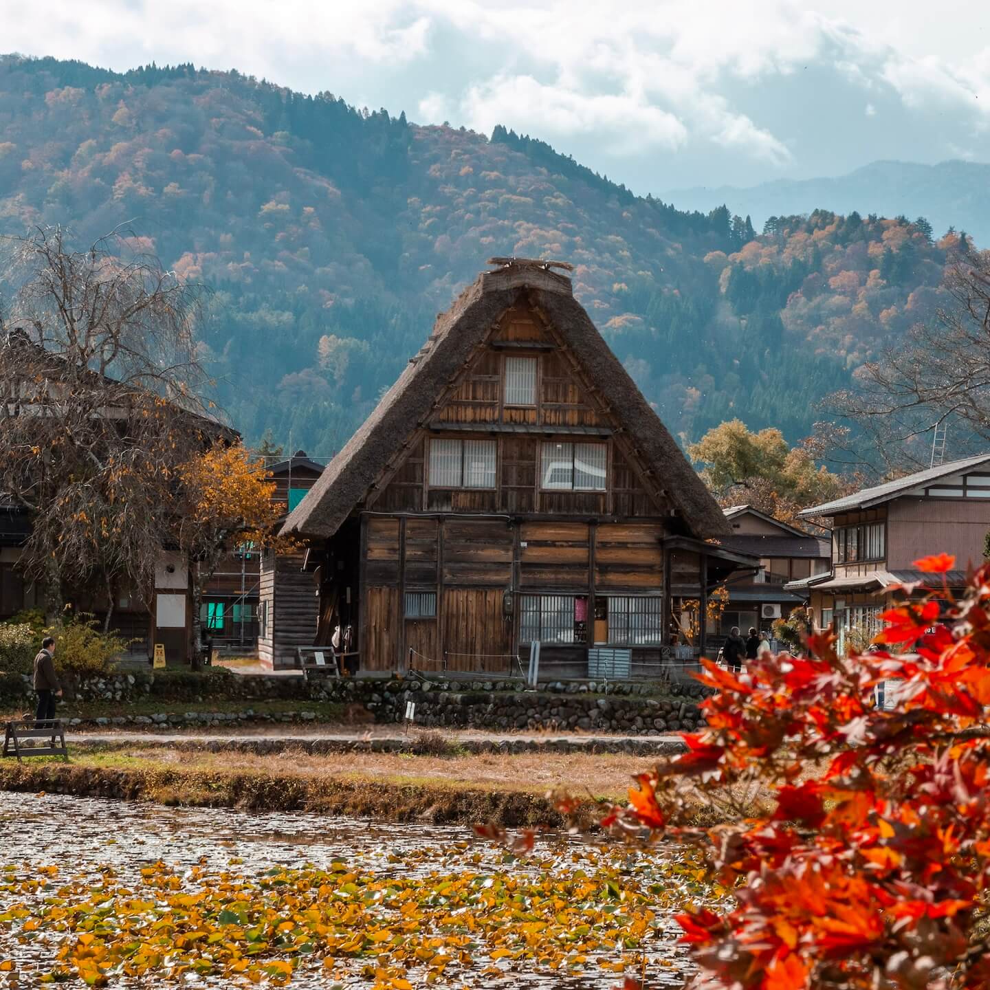 Shirakawa-go Houses Autumn colors